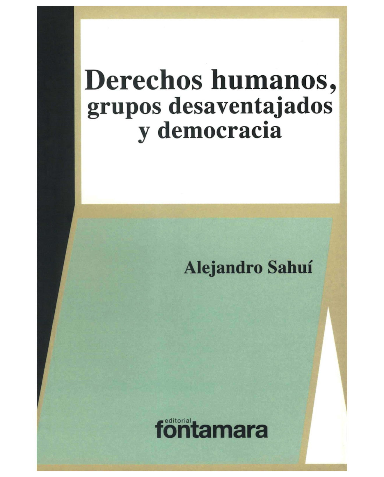 Foto 2 pulgar | Libro Derechos Humanos, Grupos Desaventajados Y Democracia - Fontamara - Alejandro Sahuí