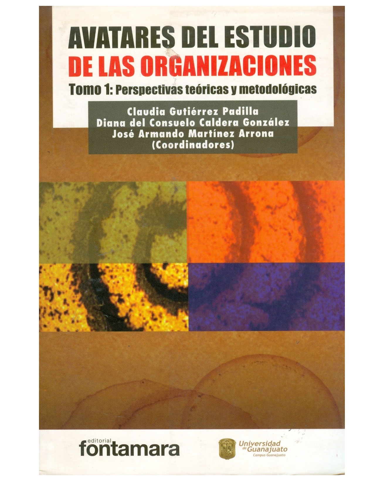 Foto 2 pulgar | Libro Avatares Del Estudio De Las Organizaciones Tomo I - Fontamara - Claudia Gutierrez Padilla