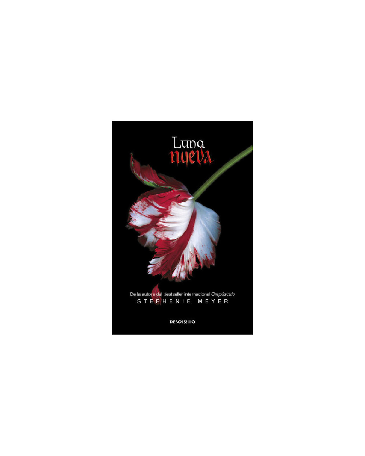 Foto 1 | Libro Cadabra & Books Luna Nueva
