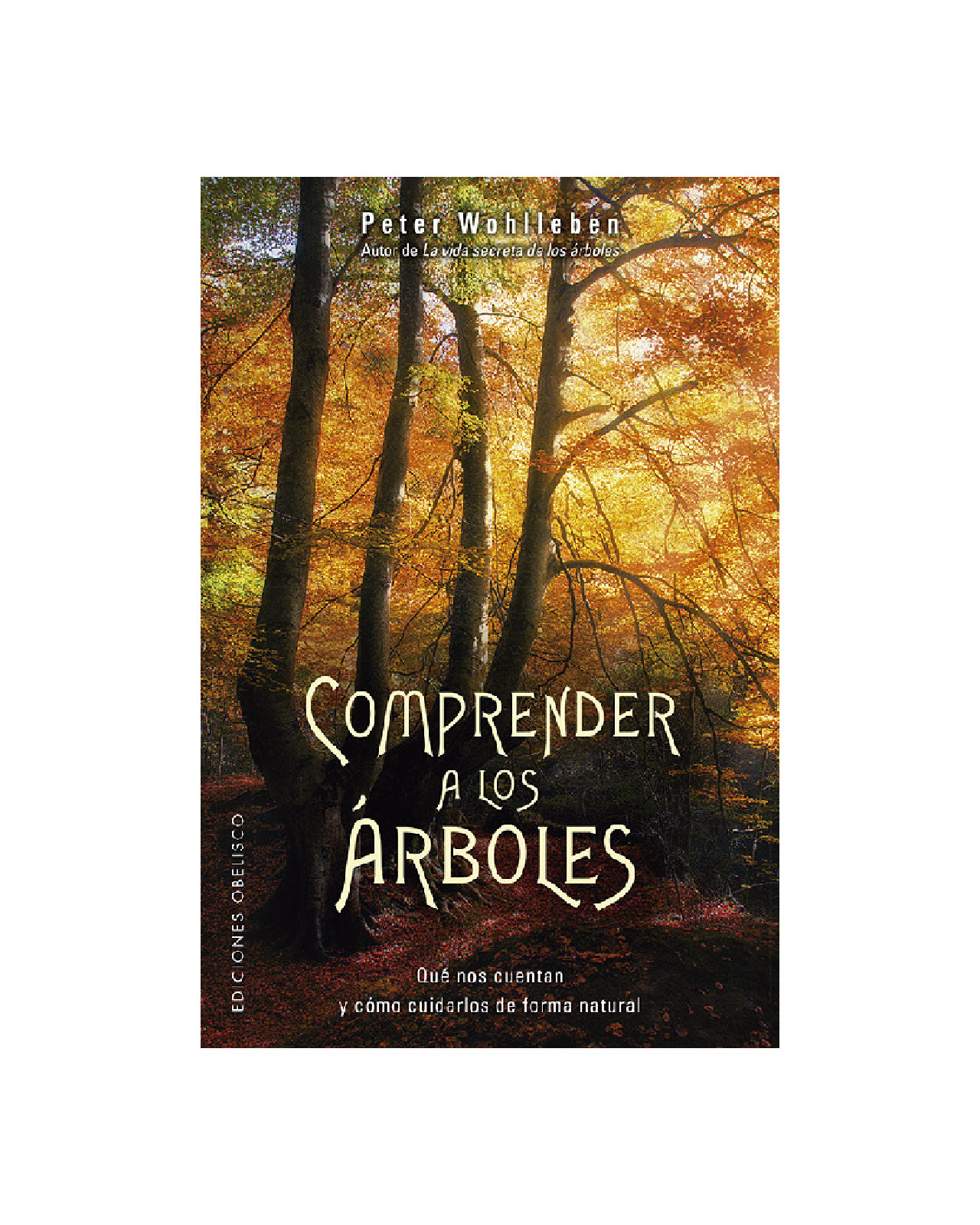 Foto 1 | Comprender A Los Árboles