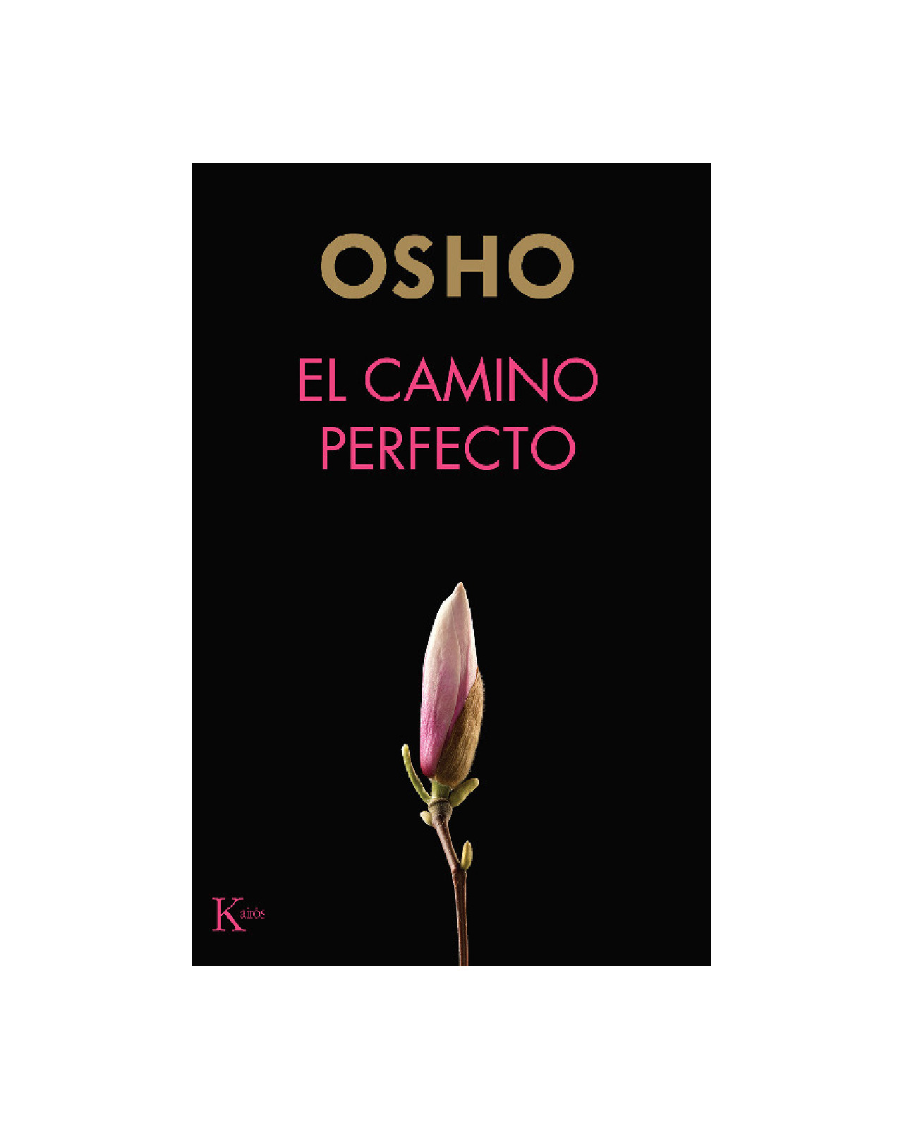 Foto 2 pulgar | El Camino Perfecto