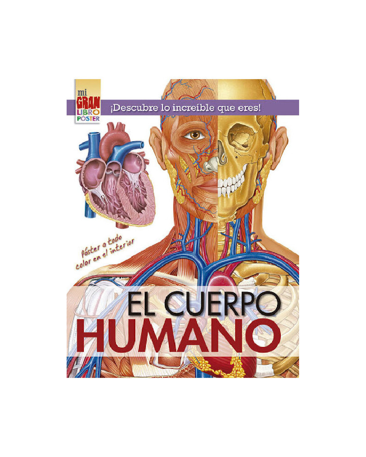Mi Gran Libro Póster: El Cuerpo Humano