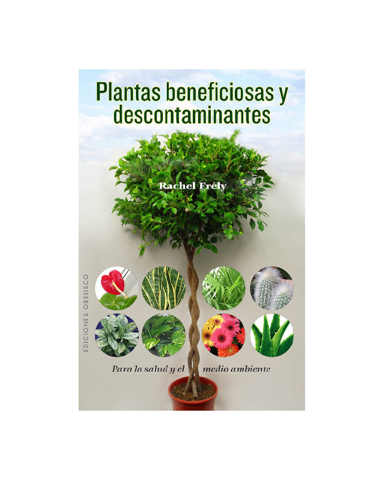 Foto 1 | Plantas Beneficiosas Y Descontaminantes