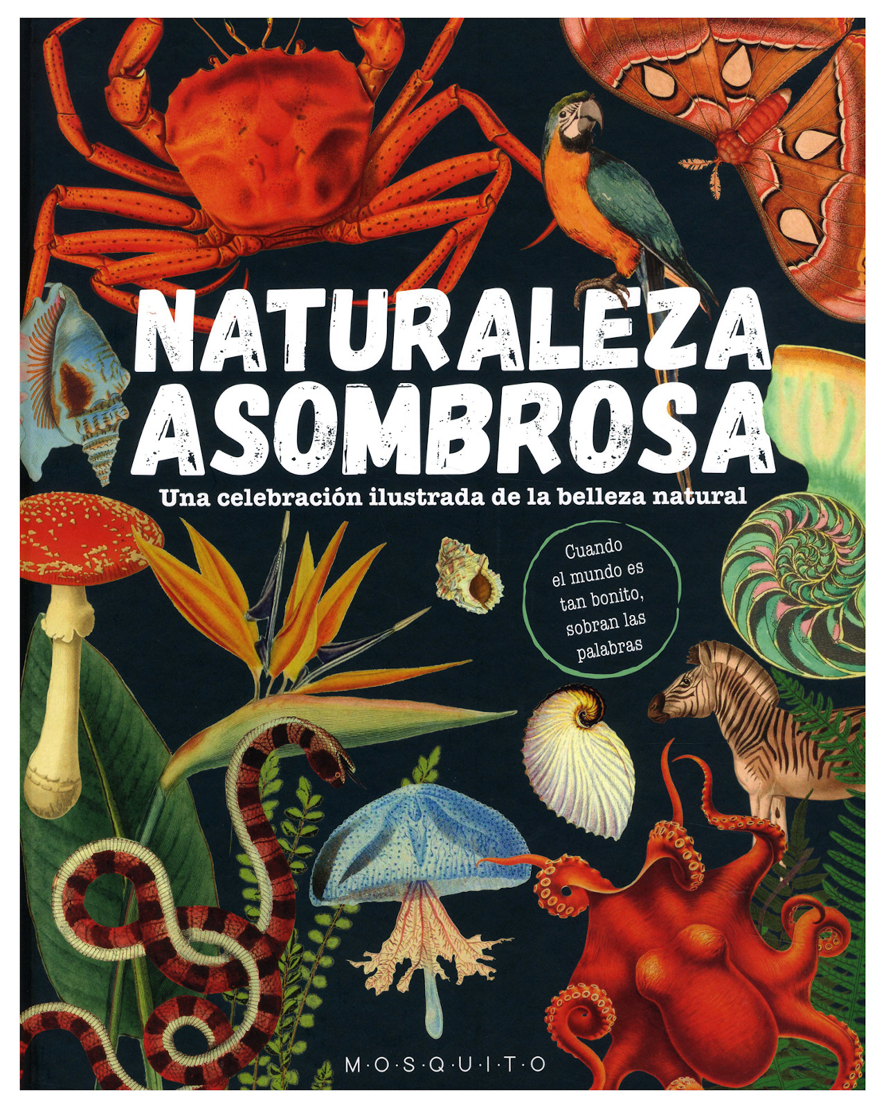 Libro - Naturaleza Asombrosa - Mosquito Books - Varios