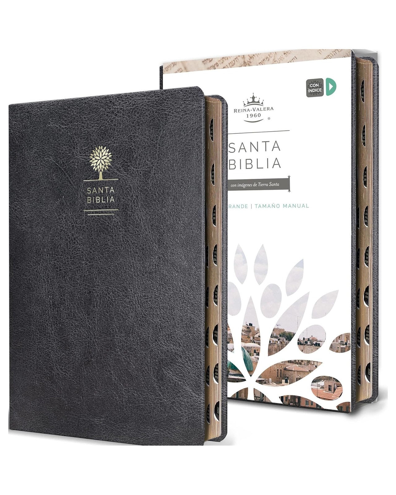 Libro - Biblia Reina Valera 1960 Letra Grande - Origen - Reina Valera Revisada 1960 $689