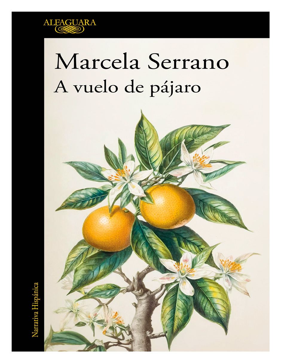 Libro a Vuelo de Pájaro Editorial Alfaguara Autor Marcela Serrano
