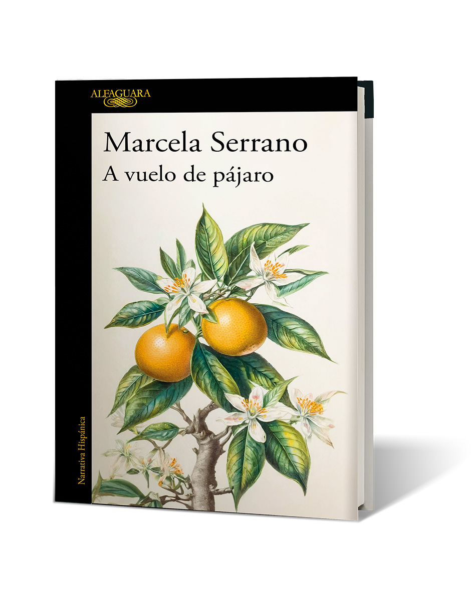 Foto 2 | Libro a Vuelo de Pájaro Editorial Alfaguara Autor Marcela Serrano