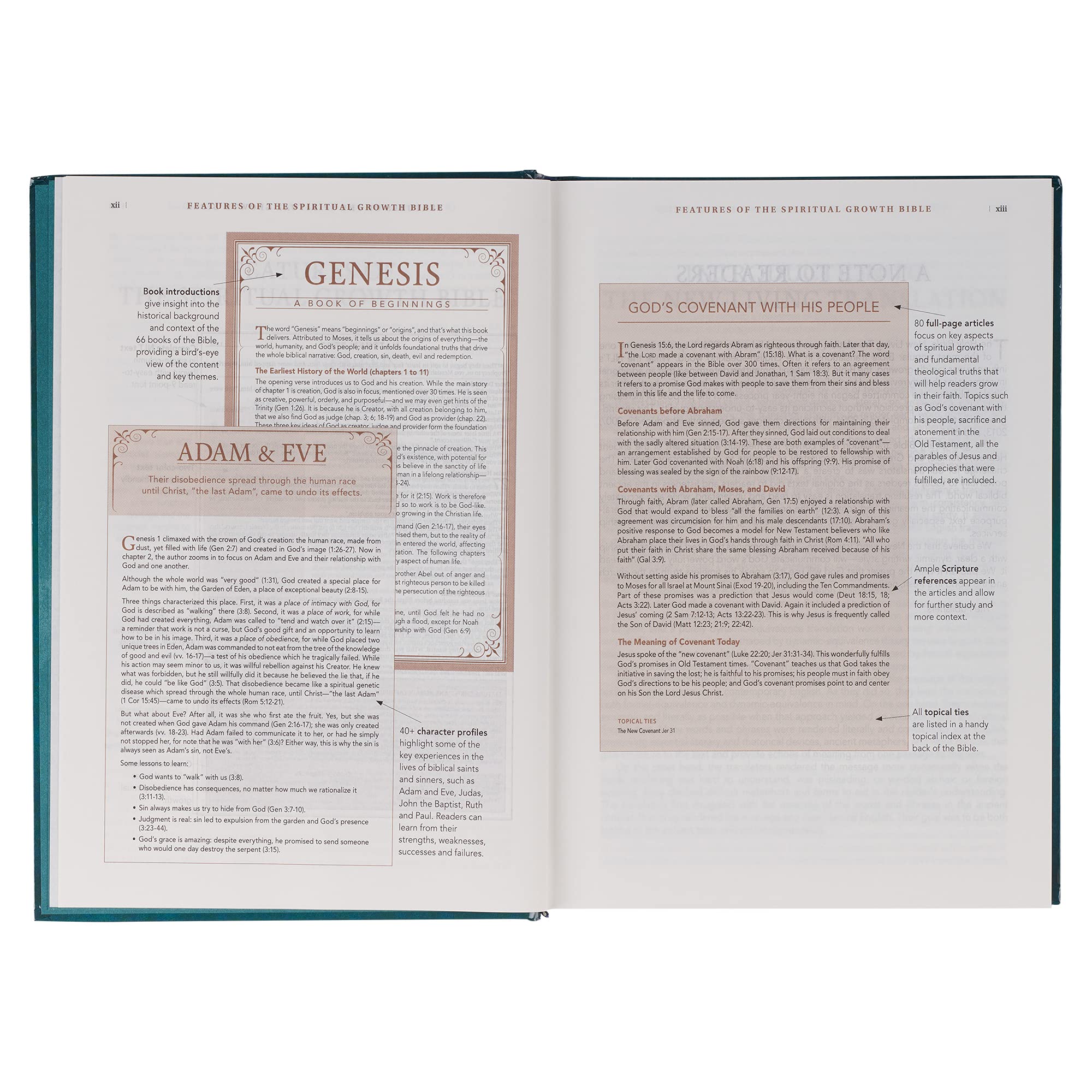 Foto 4 pulgar | Libro Christian Art Gifts The Spiritual Growth Bible (nlt) - Venta Internacional.