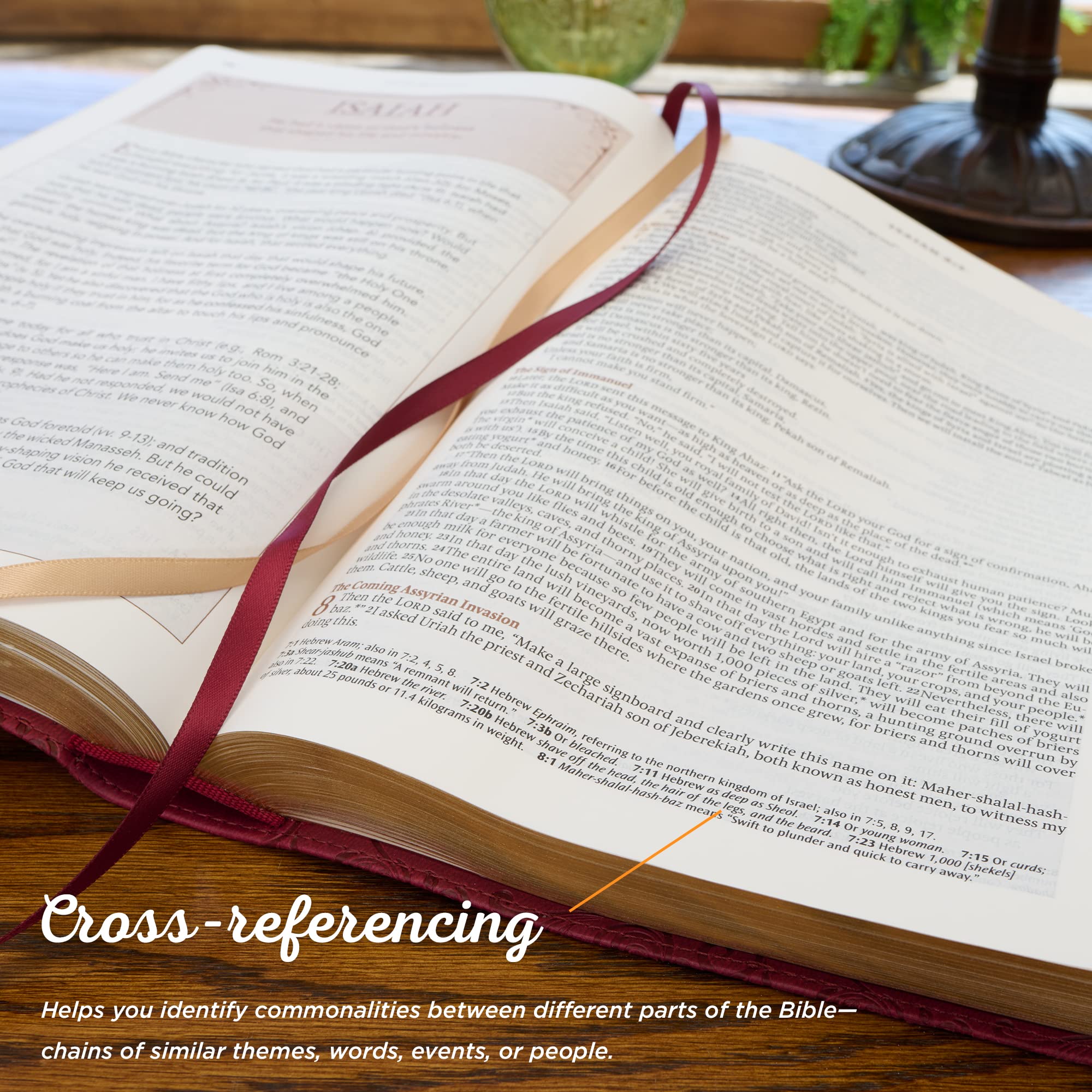 Foto 4 pulgar | Libro Christian Art Gifts The Spiritual Growth Bible (nlt) - Venta Internacional.