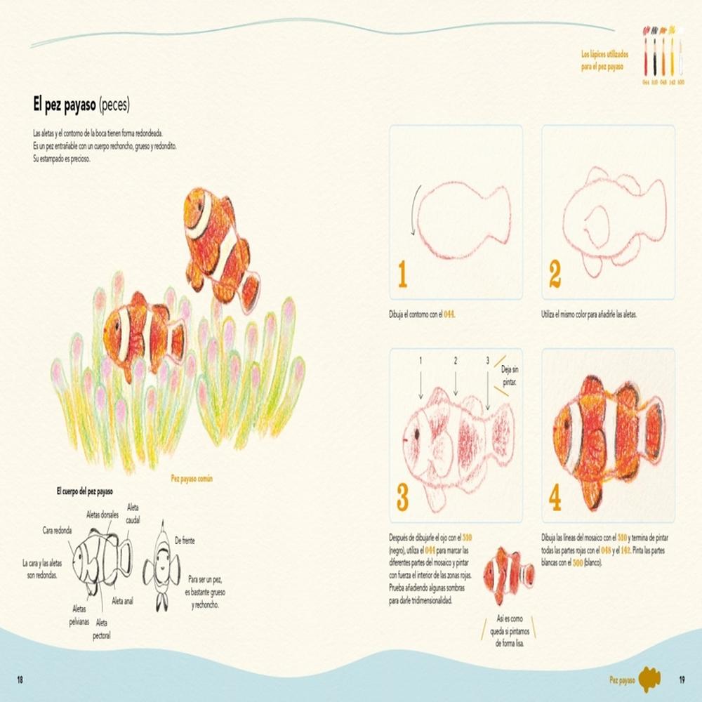 Foto 4 pulgar | Dibuja Todo Tipo De Animales Acuáticos Con Lápices De Colores