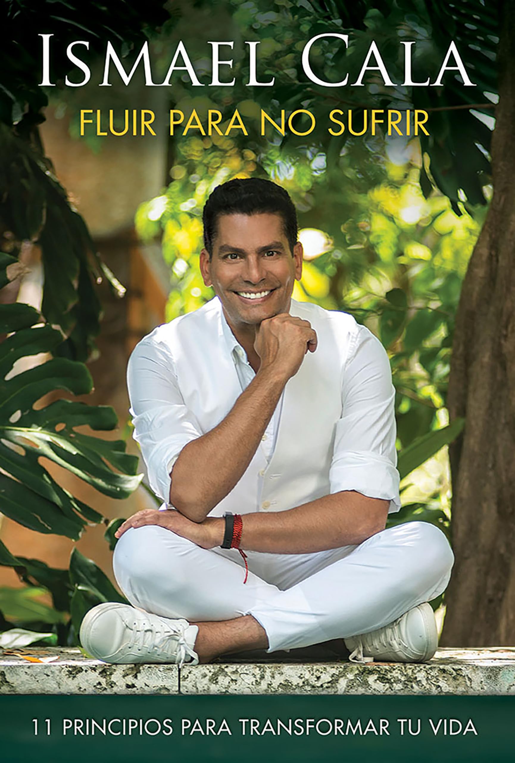 Fluir Para No Sufrir: 11 Principios Para Transformar Tu Vida / Flow, Don't Suffe R (spanish Edition) - Venta Internac