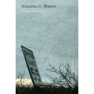 Foto 1 | El Ser Breve