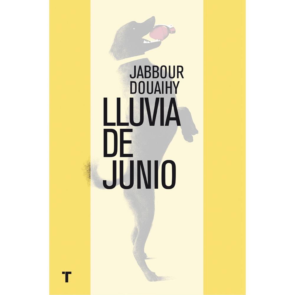 Lluvia De Junio