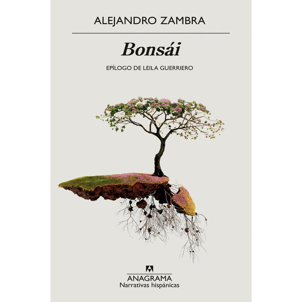 Foto 1 | Bonsái