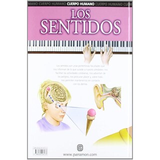 Foto 2 | Los Sentidos