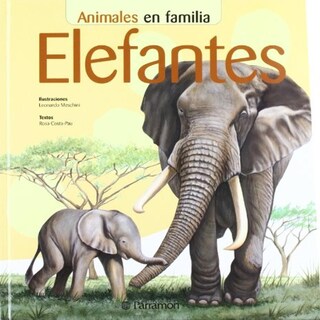 Foto 1 | Elefantes
