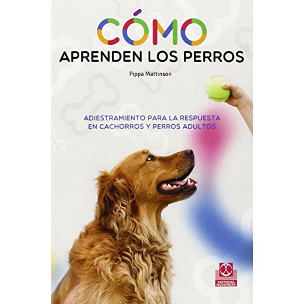 Cómo Aprenden Los Perros