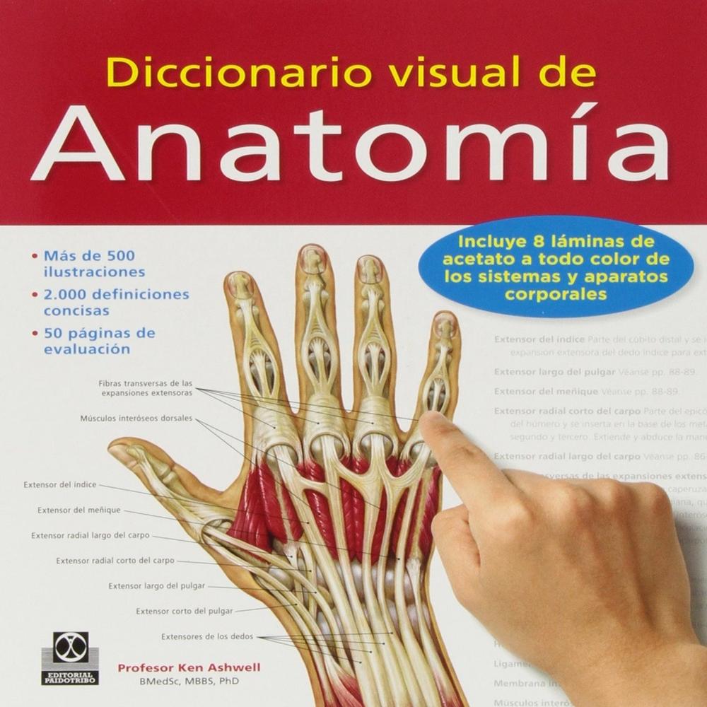 Diccionario Visual De Anatomia