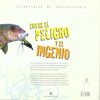 Foto 2 | Entre El Peligro Y El Ingenio