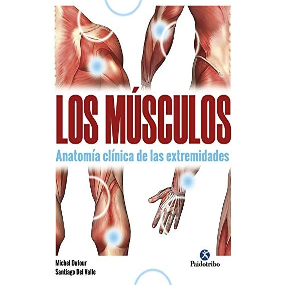 Los Músculos