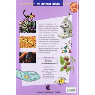 Foto 2 | La Vida