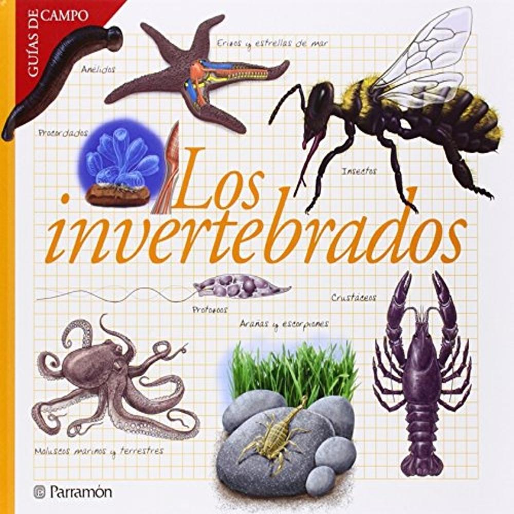 Foto 2 pulgar | Los Invertebrados