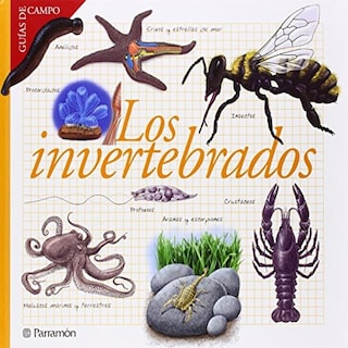 Foto 1 | Los Invertebrados