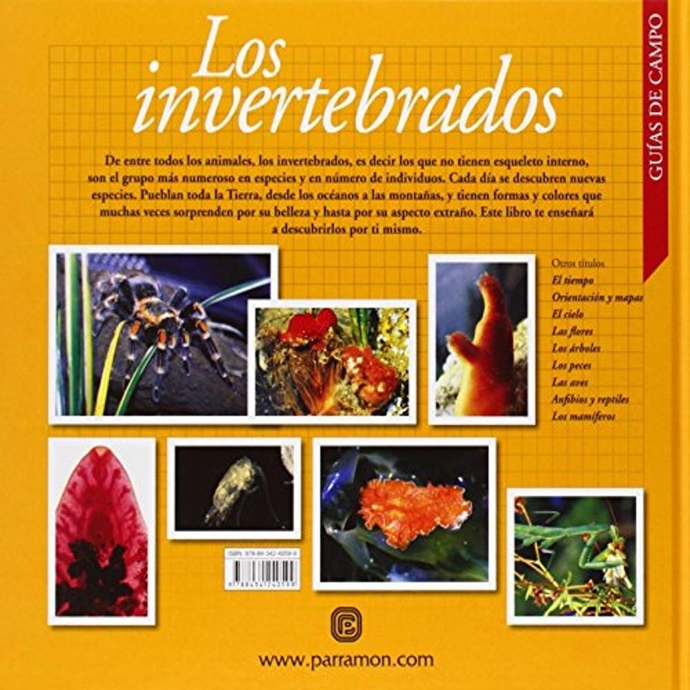 Foto 2 | Los Invertebrados