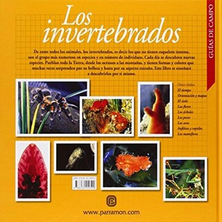 Foto 2 | Los Invertebrados