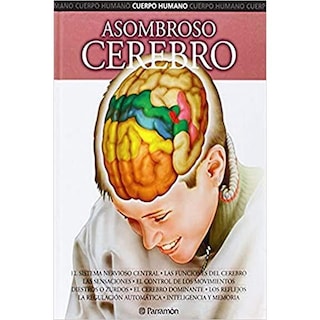 Foto 1 | Asombroso Cerebro