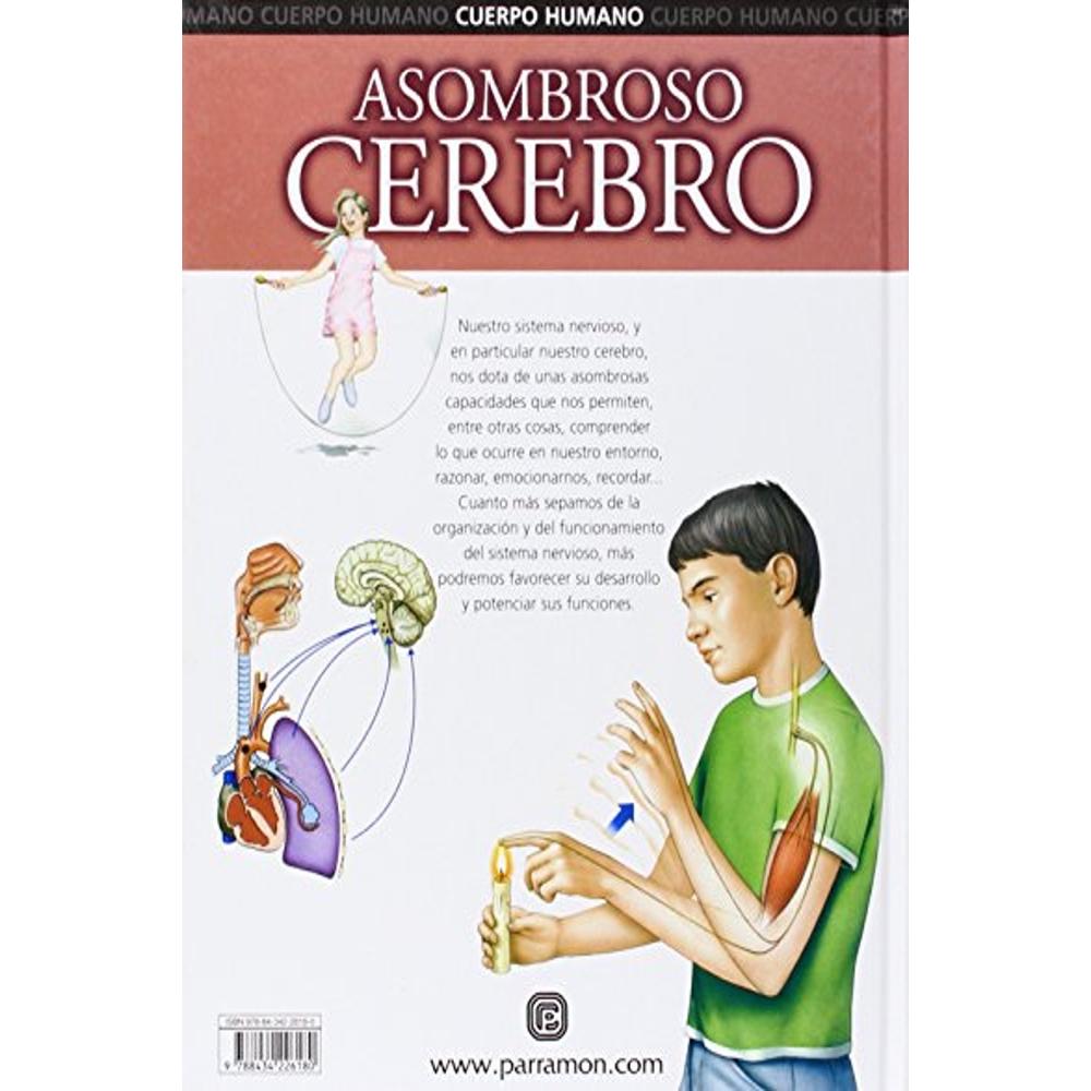 Foto 3 pulgar | Asombroso Cerebro