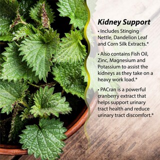 Foto 4 | Suplemento Irwin Naturals Kidney & Liver Super Cleanse 60 Geles - Venta Internacional.