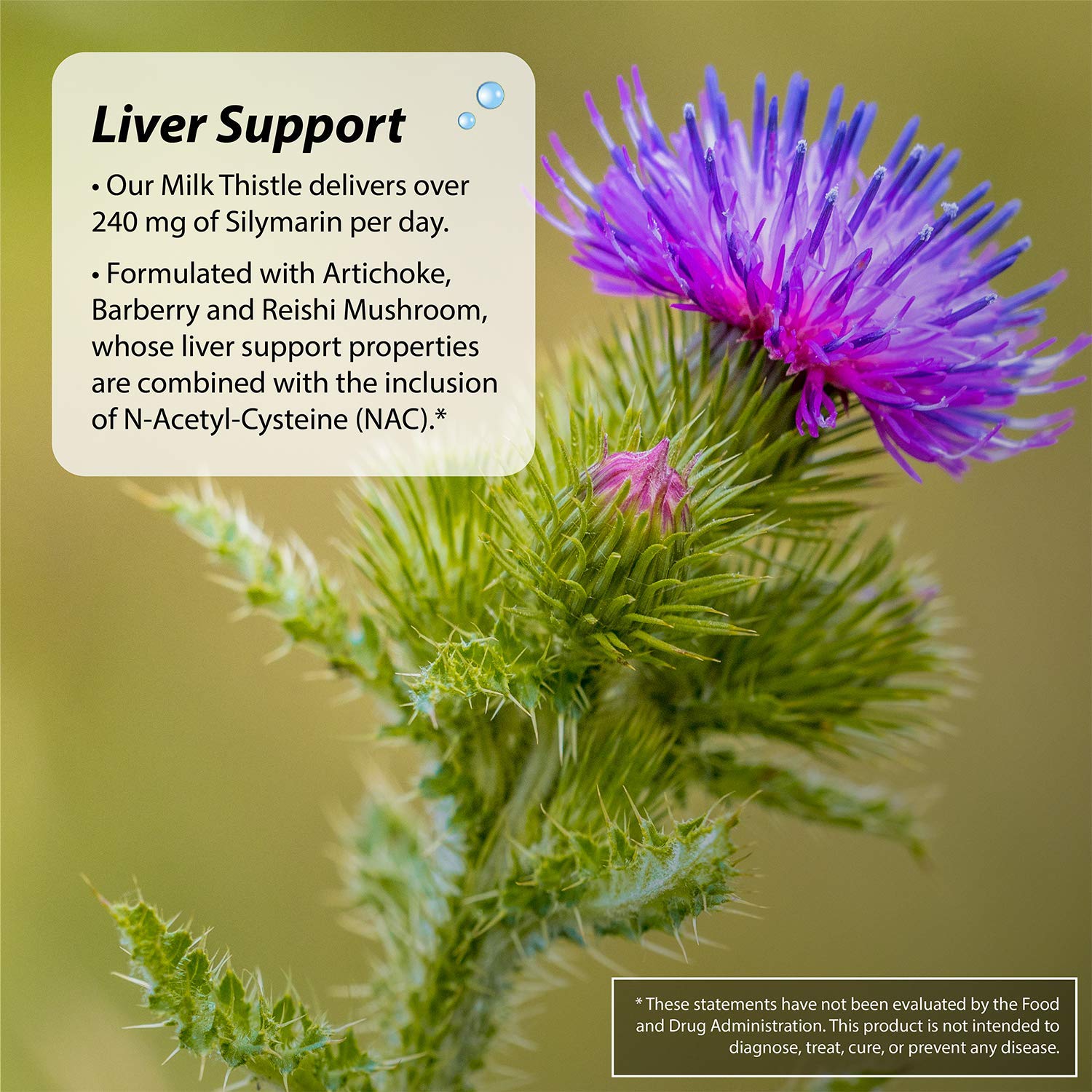 Foto 6 pulgar | Suplemento Irwin Naturals Kidney & Liver Super Cleanse 60 Geles - Venta Internacional.