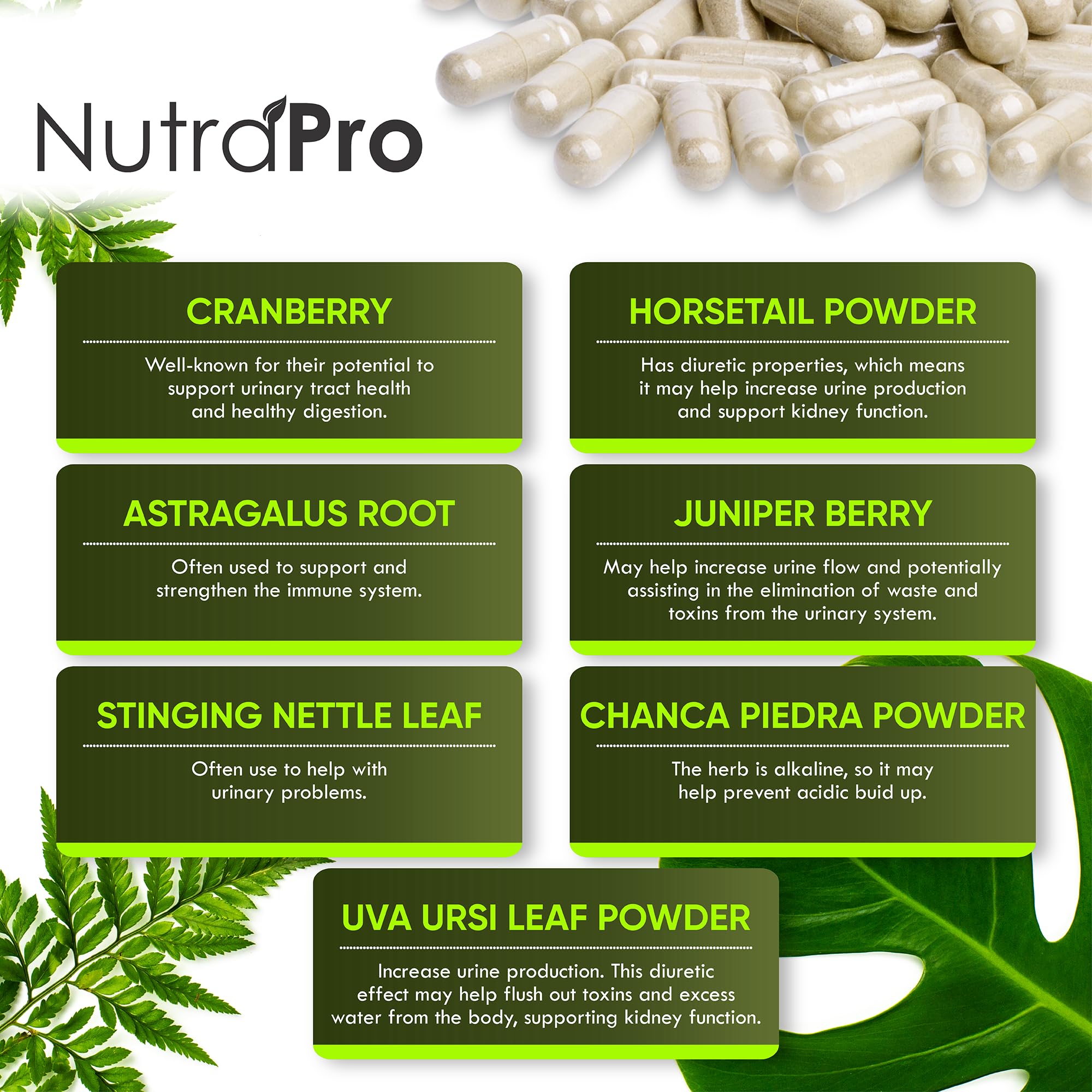Foto 5 pulgar | Suplemento Para La Limpieza De Los Riñones Y El Apoyo A La Vejiga Nutrapro - Venta Internacional.