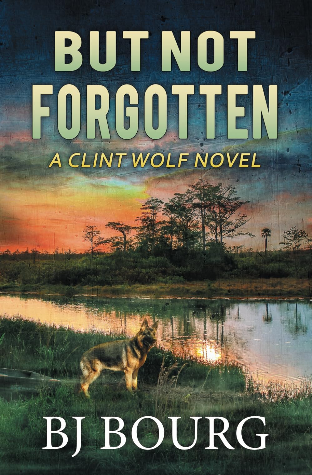 Libro Publicado De Forma Independiente Pero No Olvidado: Novela De Clint Wolf - Venta Internacional. $622