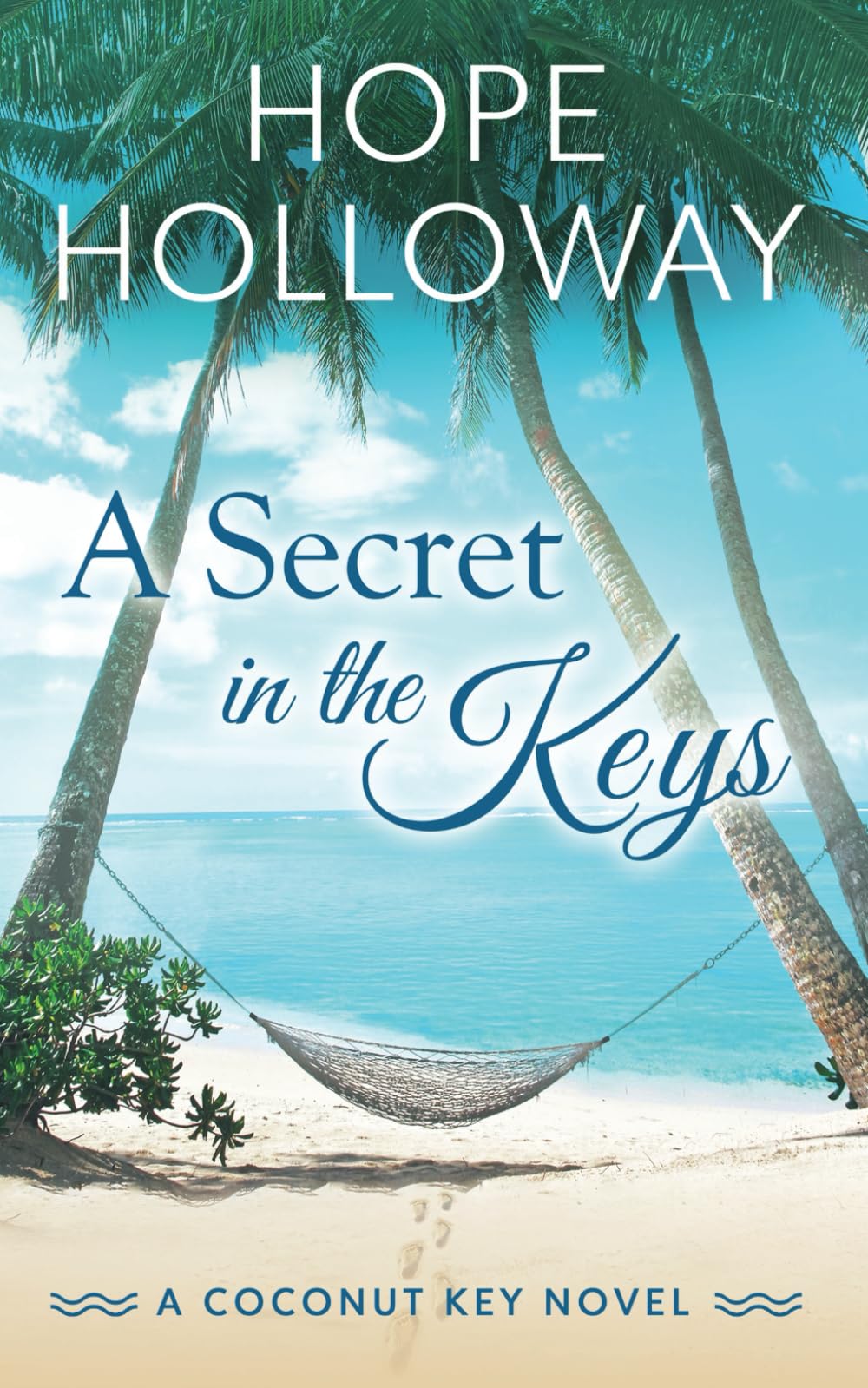 Foto 2 pulgar | A Secret In The Keys (coconut Key) - Venta Internacional.