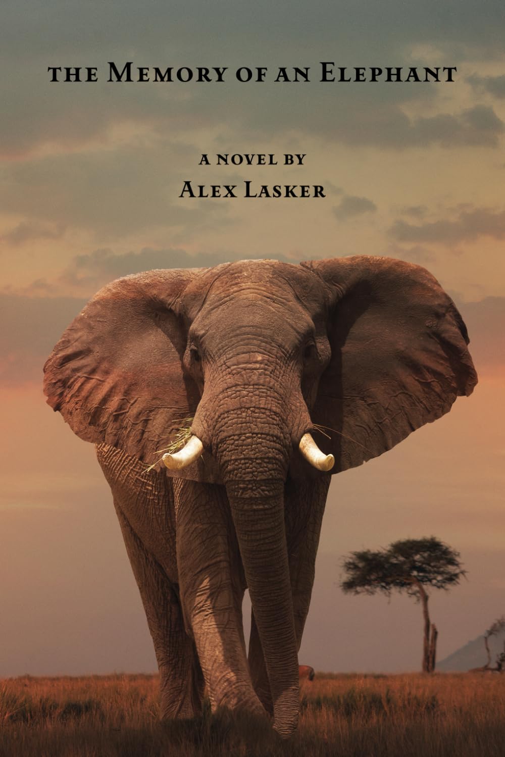 Foto 2 pulgar | The Memory Of An Elephant - Venta Internacional.