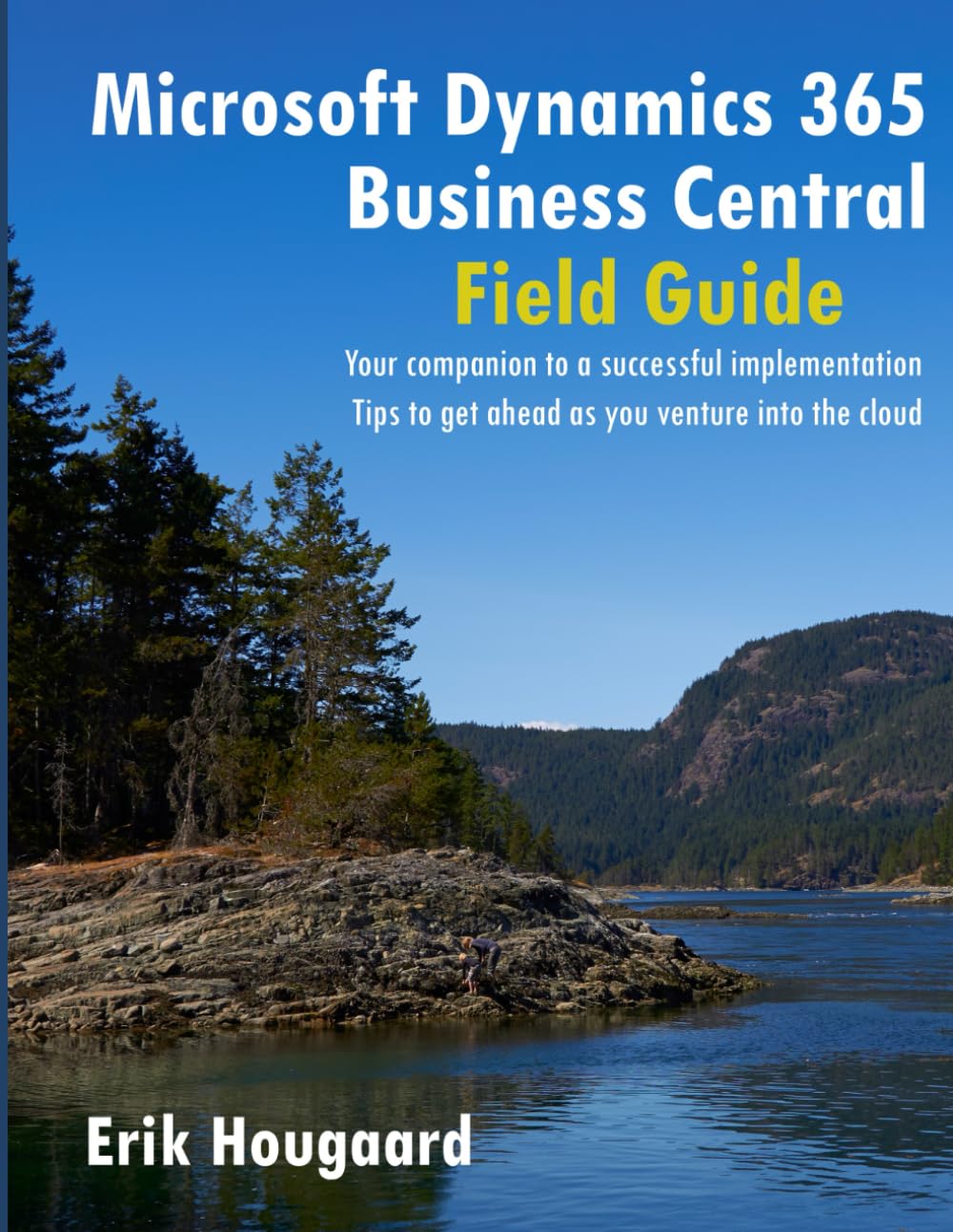 Foto 2 pulgar | Microsoft Dynamics 365 Business Central Field Guide - Venta Internacional.