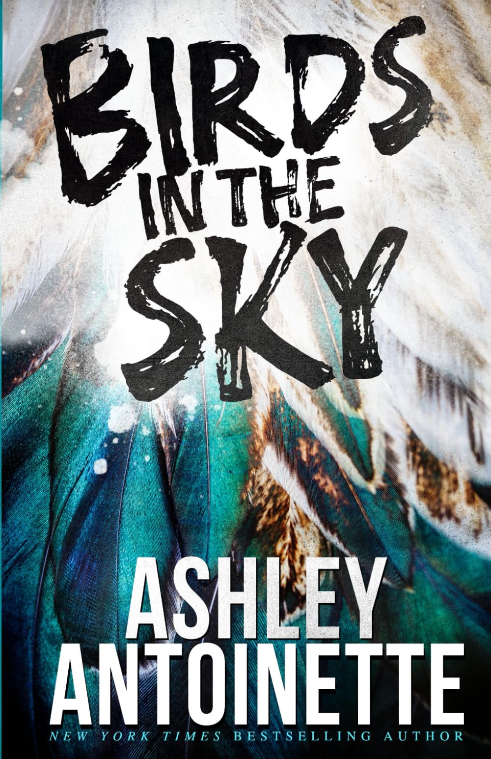 Foto 2 pulgar | Birds In The Sky (ashley Antoinette's Book Box Series (demi & Charlie)) - Venta Internacional.