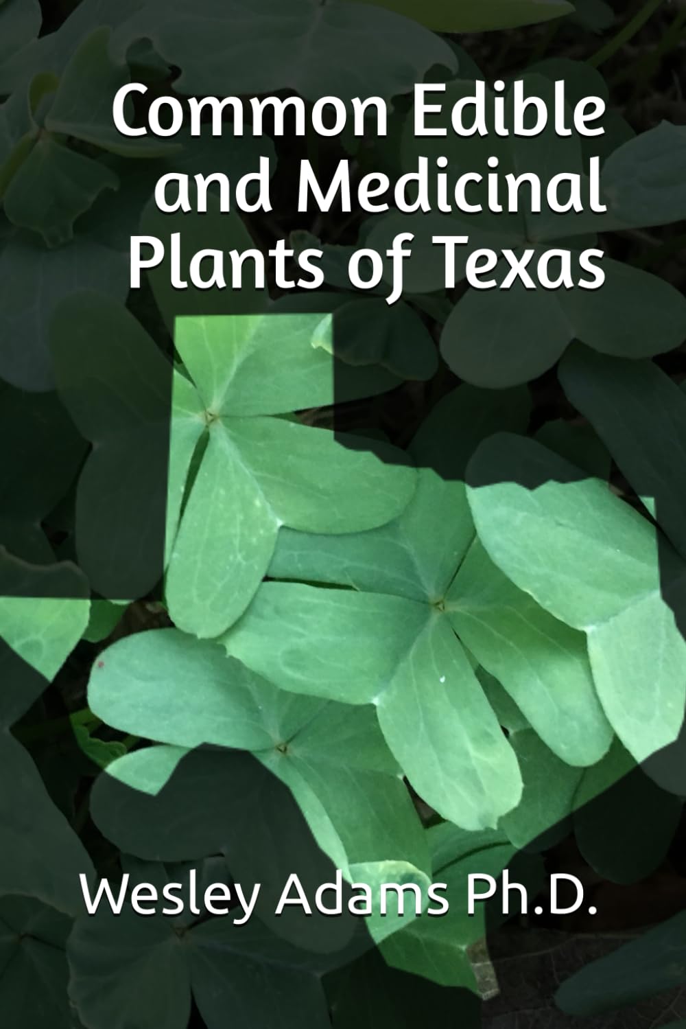Foto 1 | Common Edible And Medicinal Plants Of Texas - Venta Internacional.