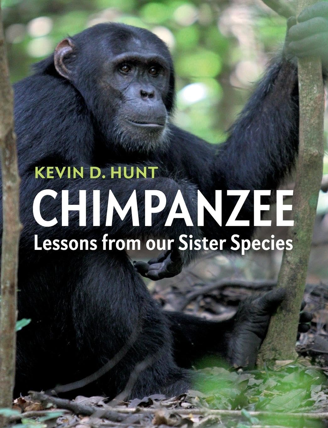 Foto 2 pulgar | Libro Cambridge University Press El Chimpancé: Lecciones De Nuestra Especie Hermana - Venta Internacional.