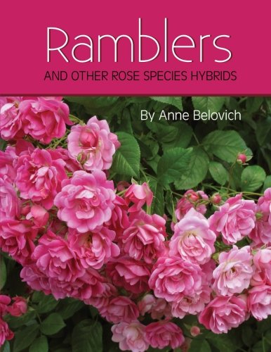 Foto 2 pulgar | Libro Ramblers Y Otros Híbridos De Especies De Rosas - Venta Internacional.