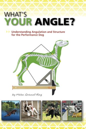 Foto 1 | Libro Cuál Es Su Ángulo: Comprensión De La Angulación Y La Estructura - Venta Internacional.
