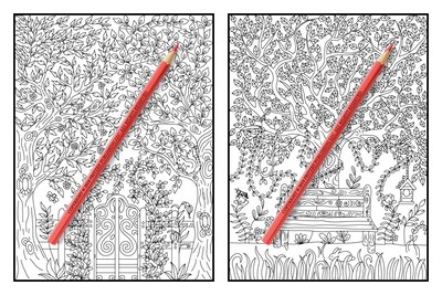 Foto 2 | Libro Para Colorear Genérica Hidden Garden Para Adultos - Venta Internacional.