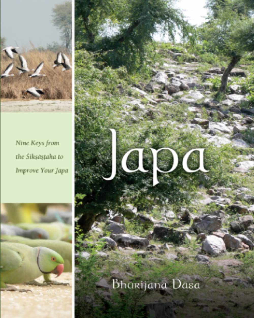 Foto 2 pulgar | Book Japa: Nueve Claves Del Siksastaka Para Mejorar Tu Japa - Venta Internacional.
