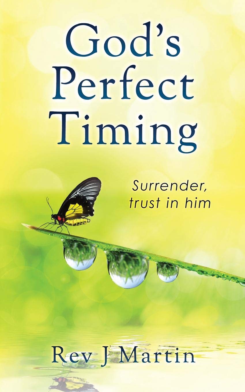 Foto 2 pulgar | Libro God's Perfect Timing De Genérica - Venta Internacional.