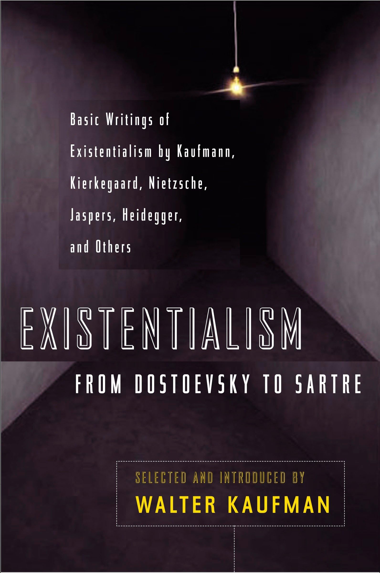 Foto 1 | Libro Plume Existencialismo De Dostoievski A Sartre Used - Venta Internacional.