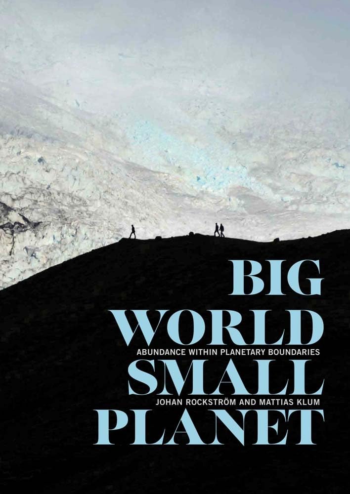 Foto 1 | Libro Un Mundo Grande, Un Planeta Pequeño: Abundancia Dentro De Los Límites Planetarios - Venta Internacional.