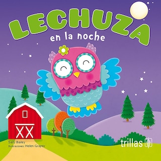 Foto 1 | Lechuza En La Noche