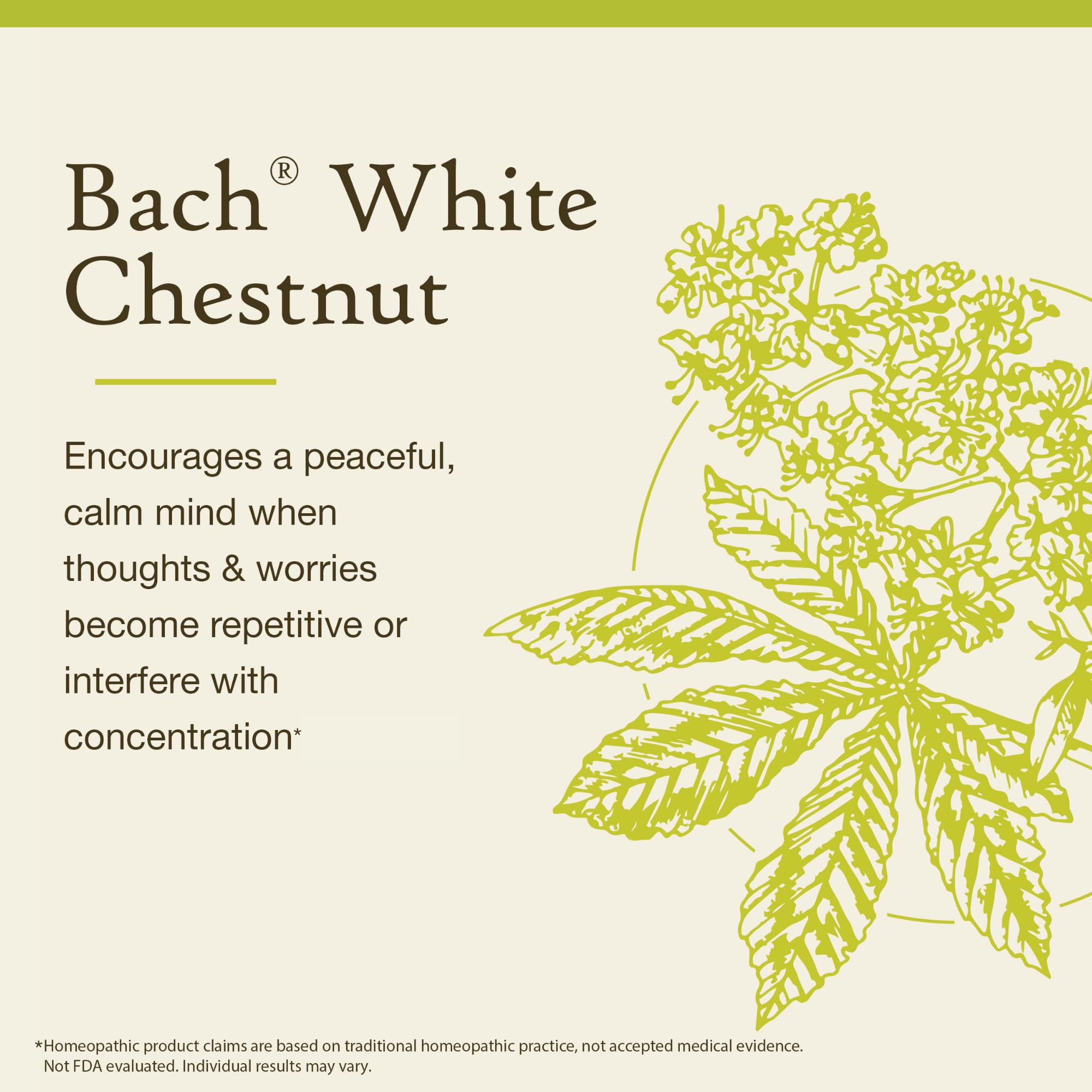 Foto 3 | Esencia Floral Bach Original De Castaña Blanca  10 Ml  Vegana - Venta Internacional.